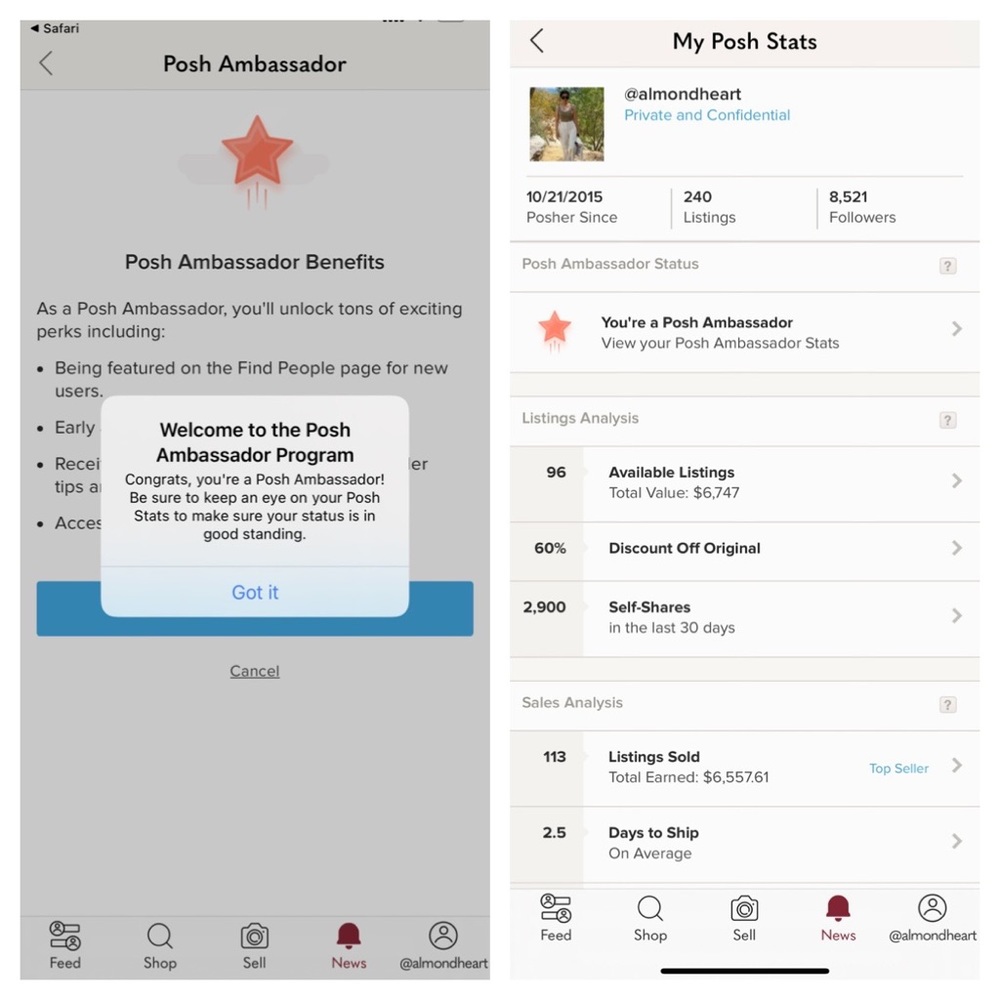 Posh Ambassador Program